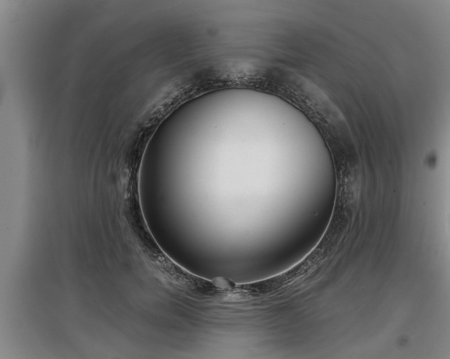 X0000097480750200802291358