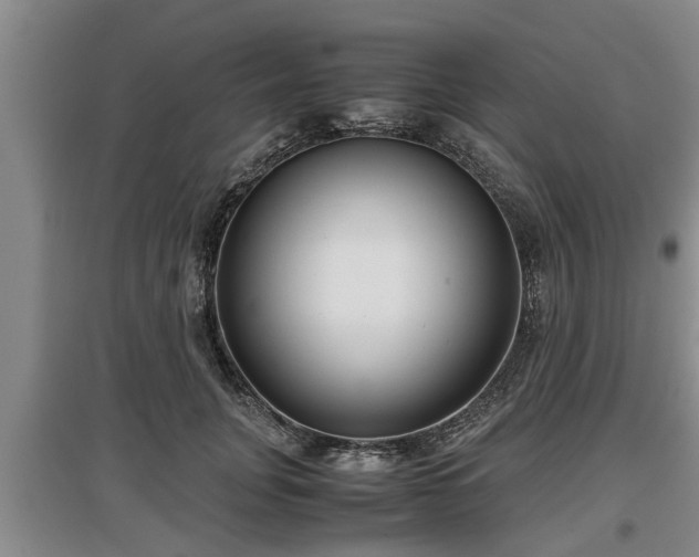 X0000097480751200802291358