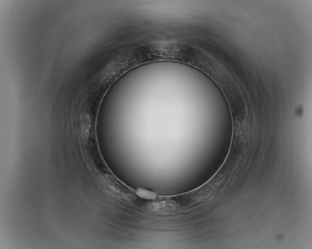 X0000097480752200802291358