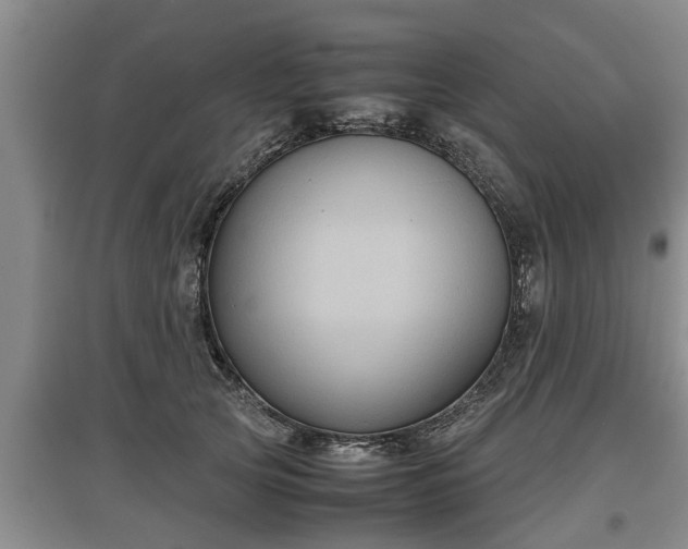 X0000097480753200802291358