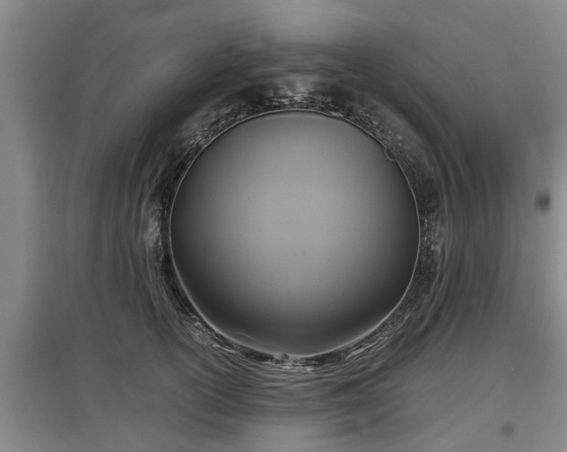 X0000097480754200802291358