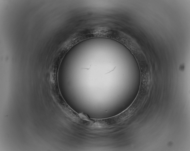 X0000097480755200802291358