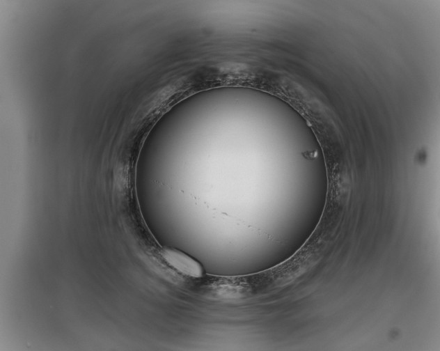 X0000097480756200802291358