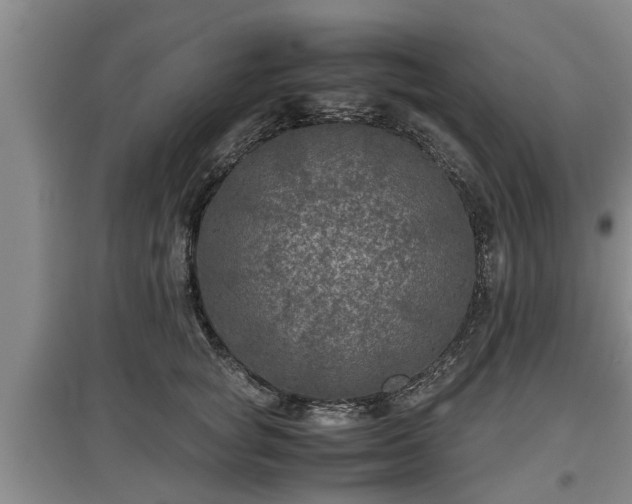 X0000097480757200802291358