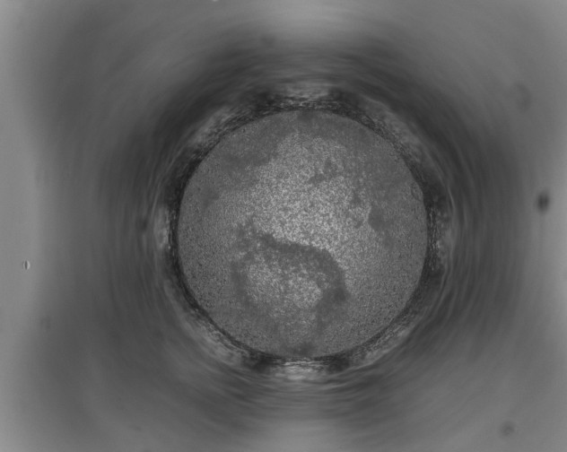 X0000097480758200802291358