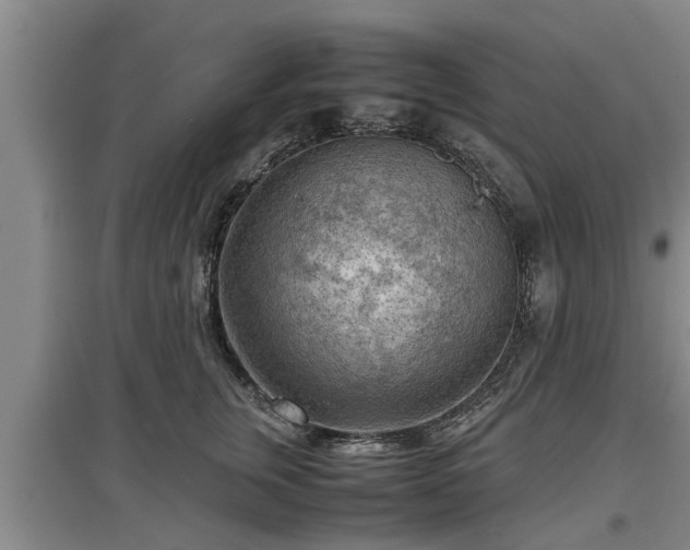 X0000097480759200802291358