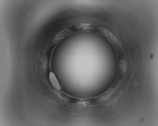 X0000097480760200802291358