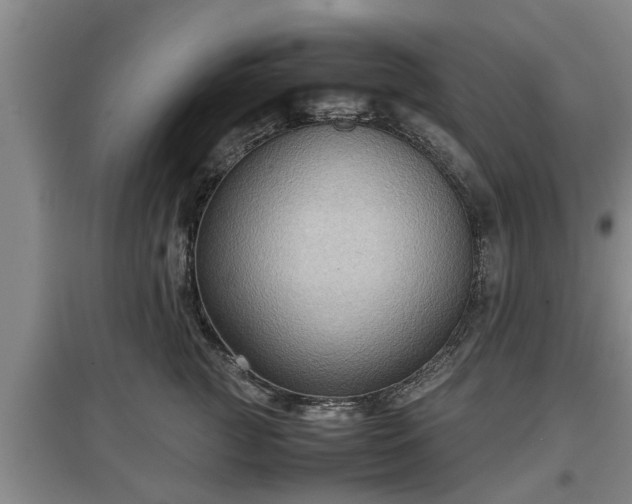 X0000097480761200802291358