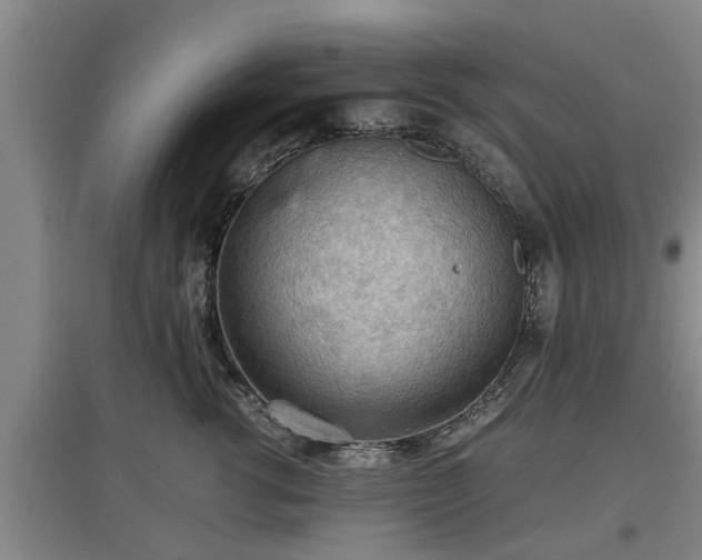 X0000097480762200802291358