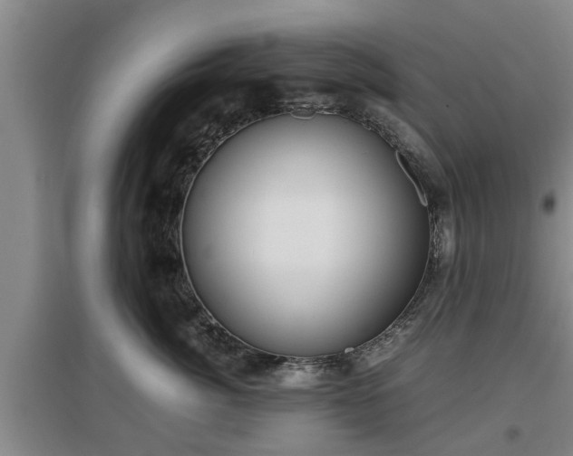 X0000097480764200802291358