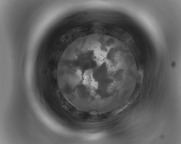 X0000097480765200802291358