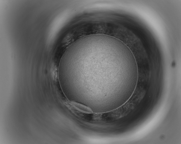 X0000097480766200802291358