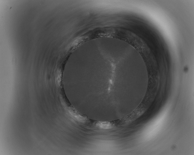 X0000097480767200802291358