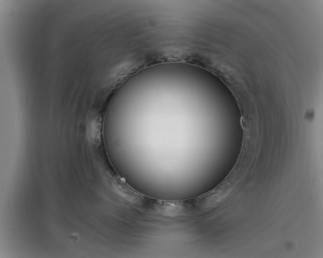 X0000097480768200802291358