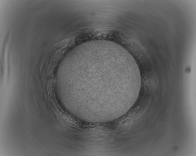 X0000097480769200802291357