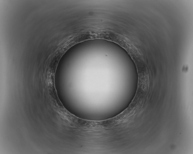 X0000097480770200802291357