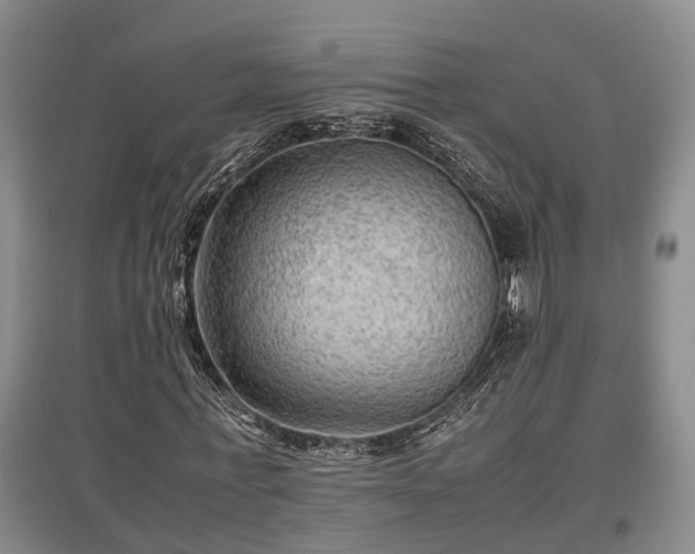 X0000097480771200802291357