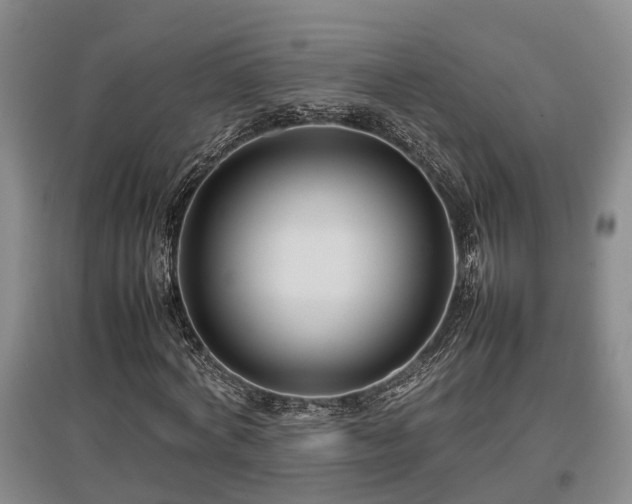 X0000097480772200802291357