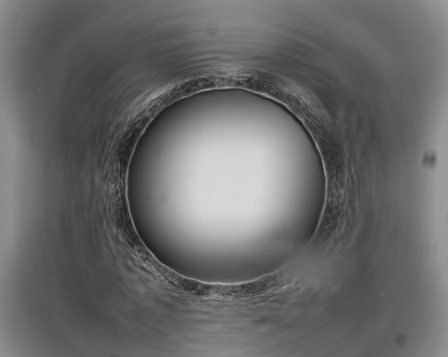 X0000097480773200802291357