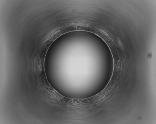 X0000097480774200802291357