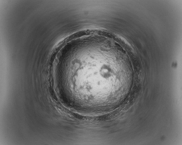 X0000097480775200802291357