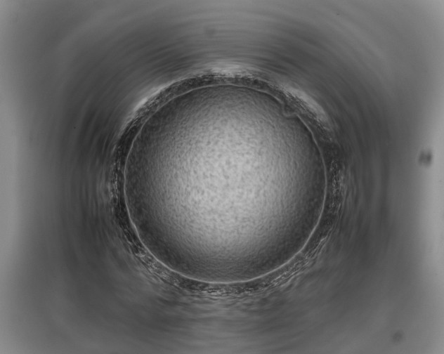 X0000097480776200802291357