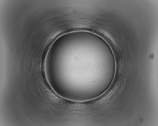 X0000097480777200802291357