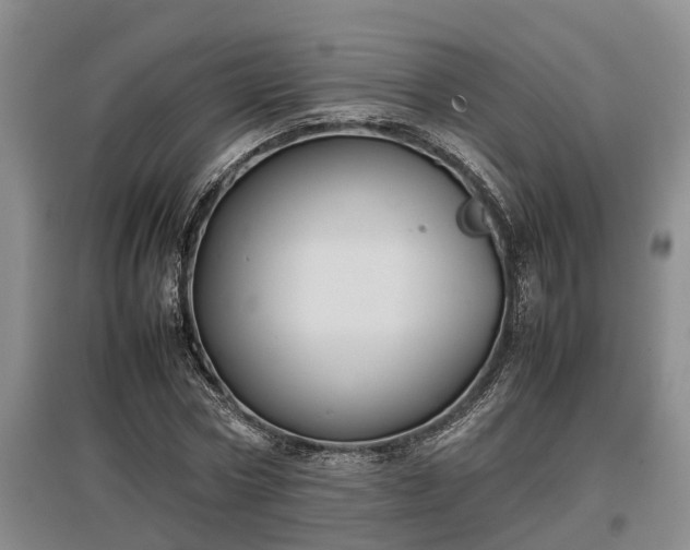 X0000097480778200802291357