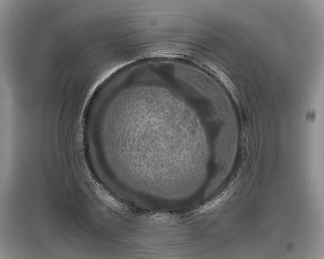 X0000097480779200802291357