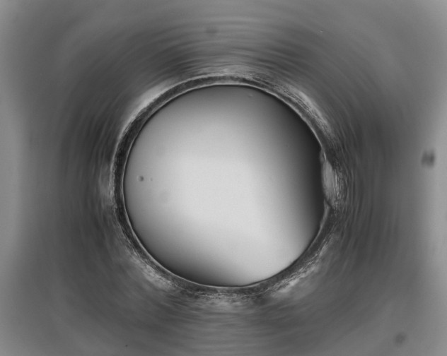 X0000097480780200802291357