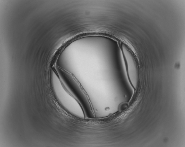 X0000097480781200802291357