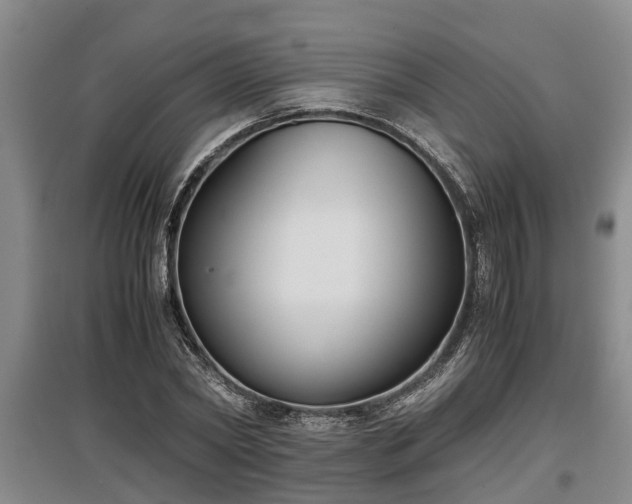 X0000097480782200802291357