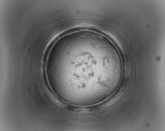 X0000097480783200802291357