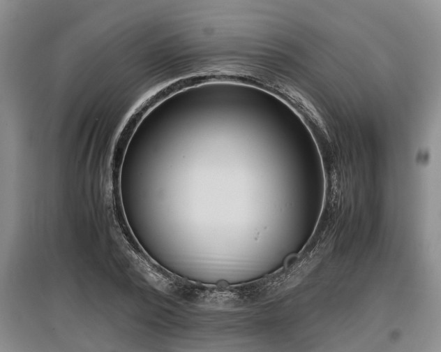 X0000097480784200802291357