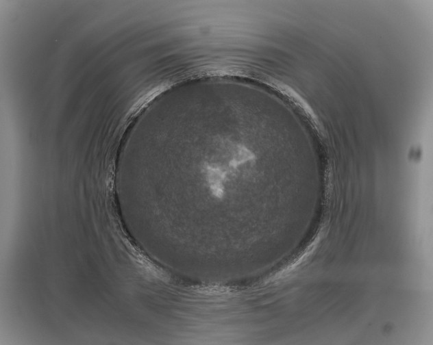 X0000097480785200802291357