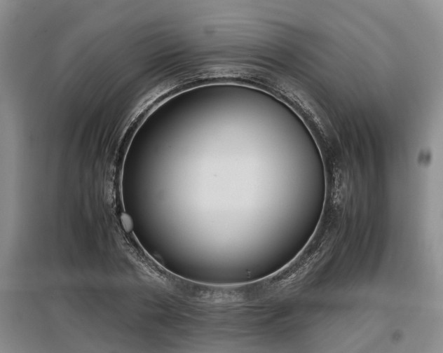 X0000097480786200802291357