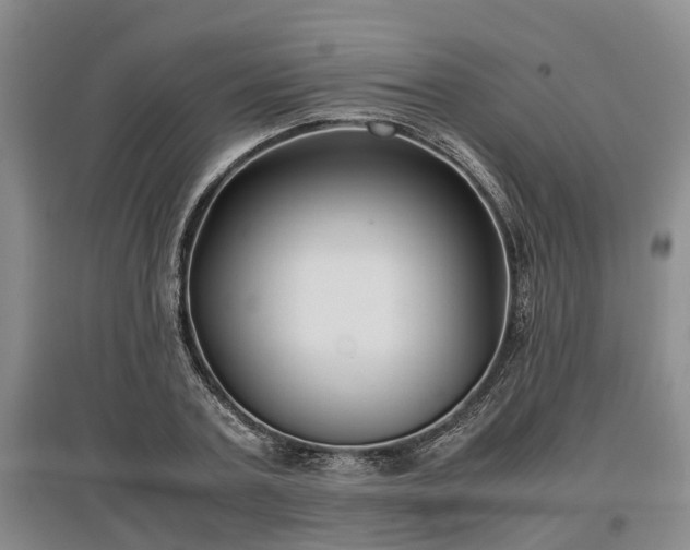 X0000097480787200802291357