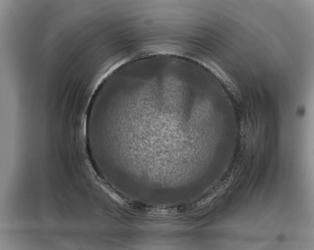 X0000097480790200802291357