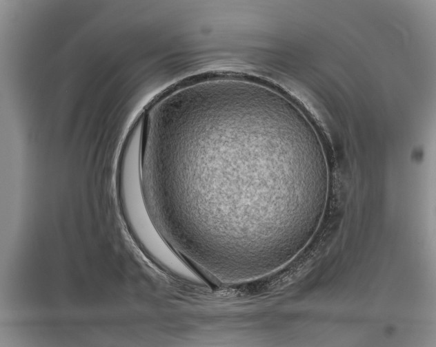 X0000097480791200802291357