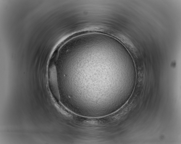 X0000097480792200802291357