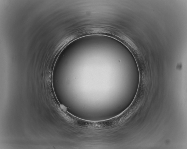 X0000097480793200802291357