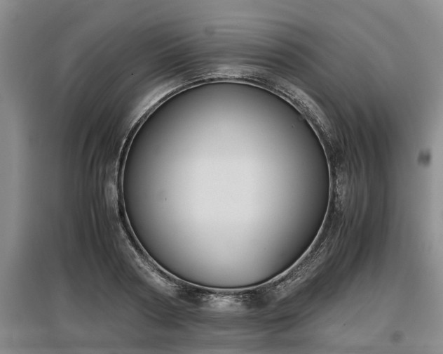 X0000097480794200802291357