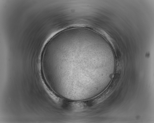 X0000097480795200802291357