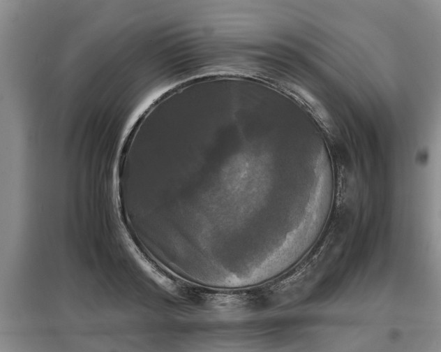 X0000097480796200802291357