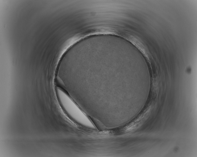 X0000097480797200802291357