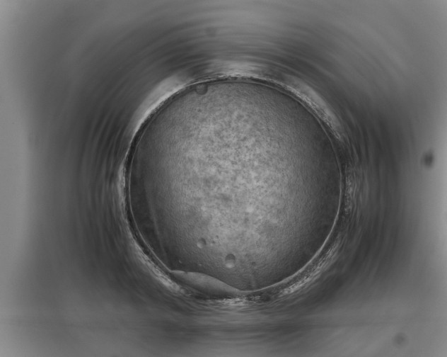 X0000097480798200802291357