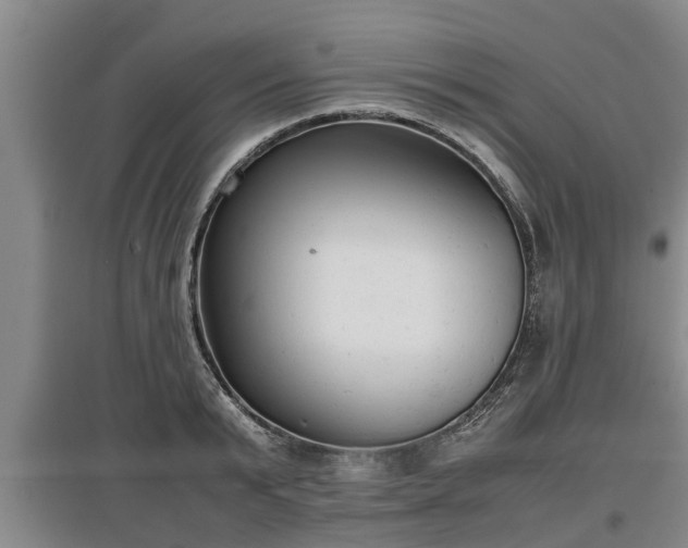 X0000097480799200802291357