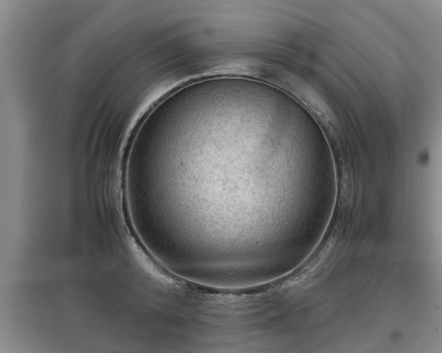 X0000097480800200802291357