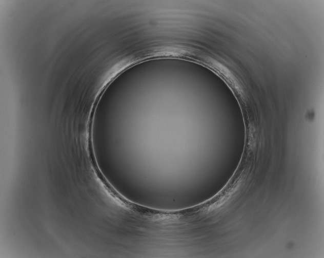 X0000097480802200802291357