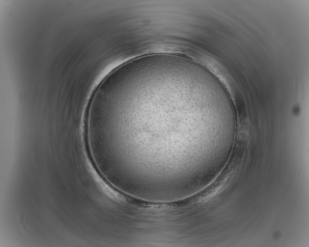 X0000097480803200802291357